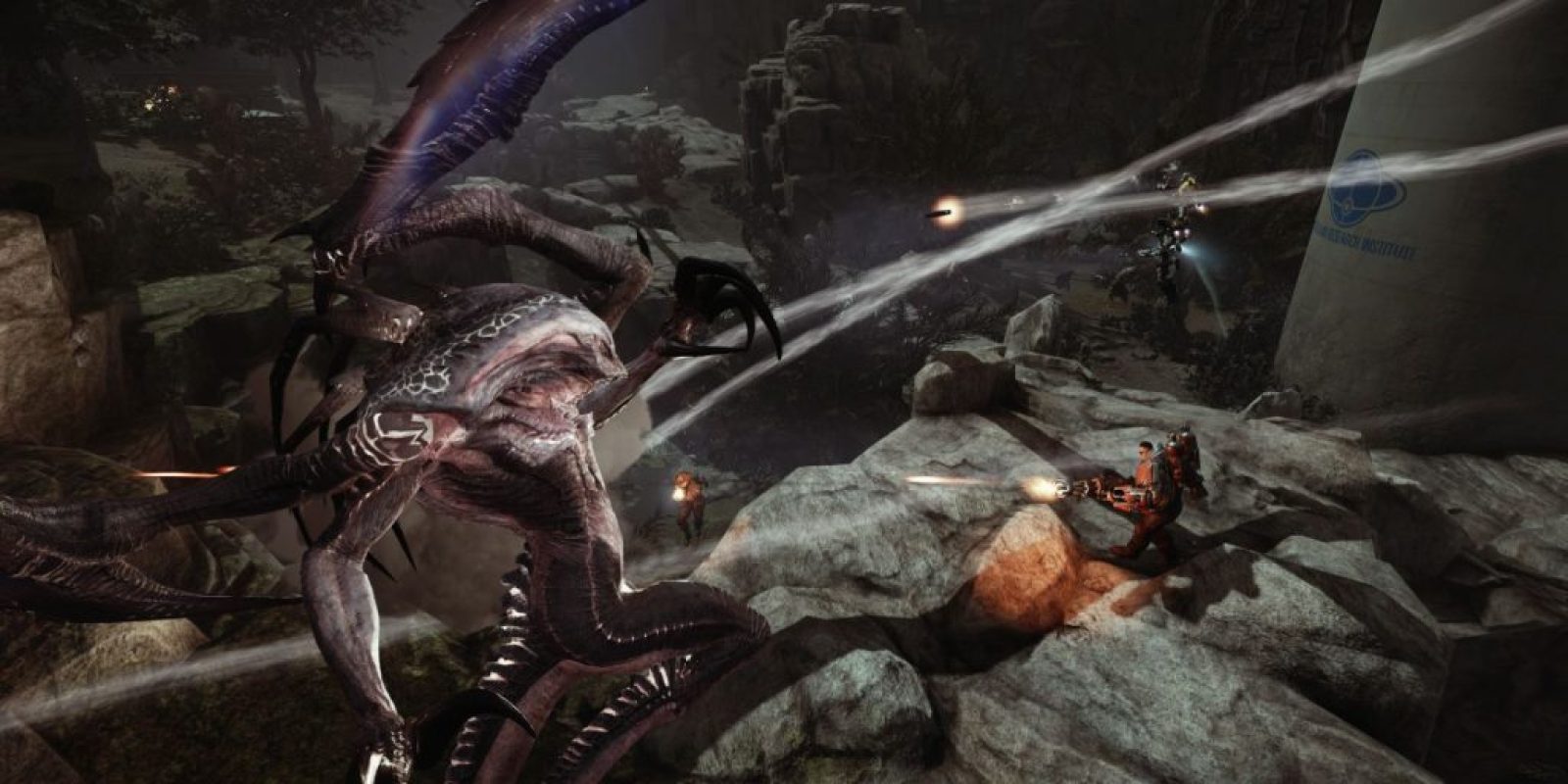 Evolve-Bild-2